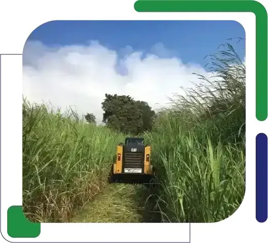 land clearing and grading service by Arborist Services LLC